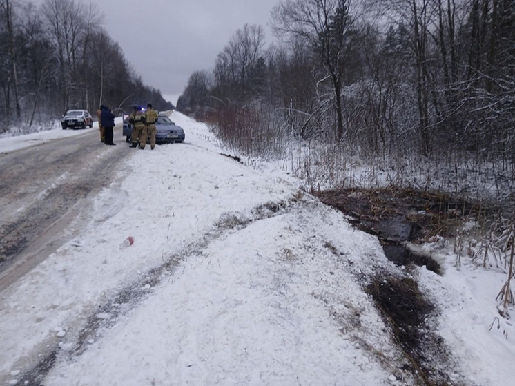 Новгородские спасатели несколько раз за сутки вытаскивали машины из кювета