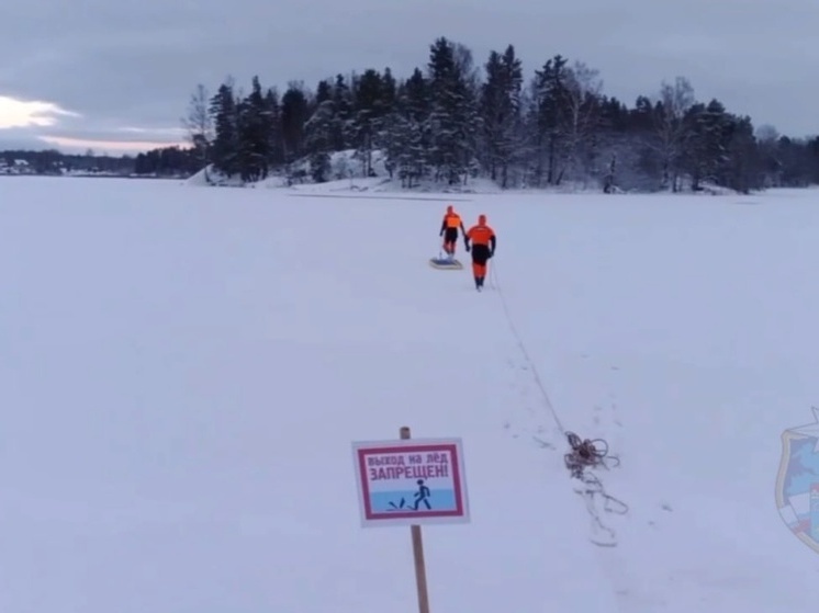 Приозерские спасатели попытались достать из водоема собаку