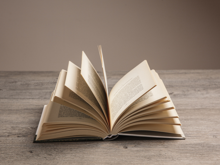 В ЛНР запустят программу господдержки книгоиздания