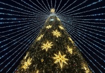 Январские прогулки могут быть не только полезными, но и веселыми