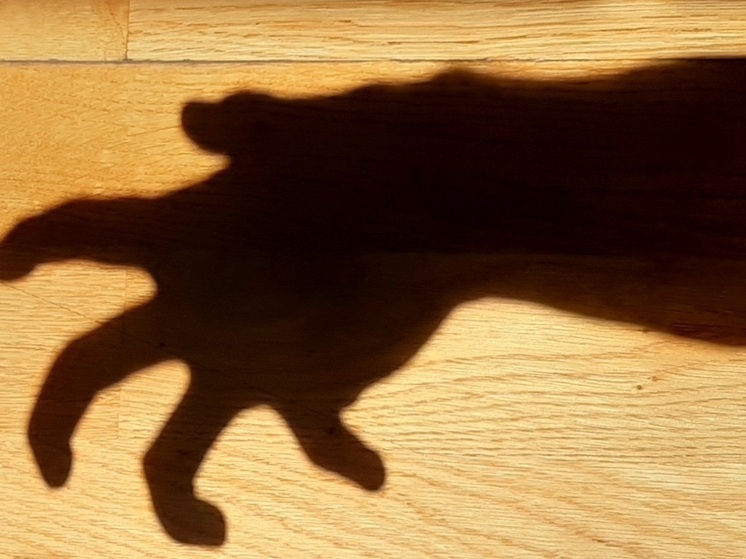 Жители региона продолжают отдавать телефонным аферистам личные накопления