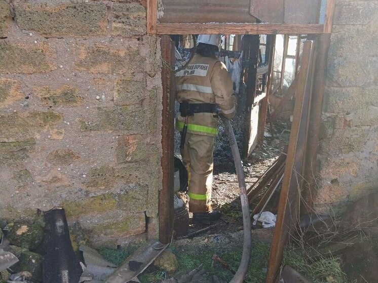 Пожарные потушили возгорание хозпостройки в Черноморском районе