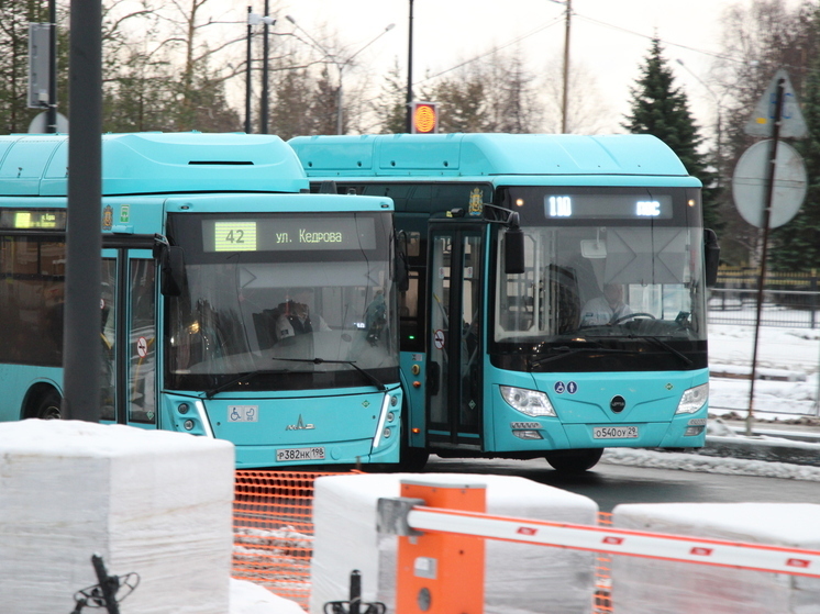 Суд в Архангельске взыскал компенсацию с ТК РИКО за срывы рейсов