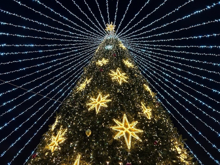 Январские прогулки могут быть не только полезными, но и веселыми