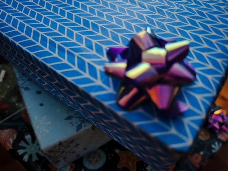 Для детей участников СВО на Вологодчине подготовлено 12 тысяч новогодних подарков