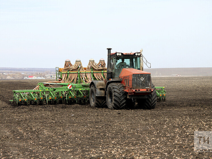 Опыт Татарстана в орошении высоко оценил Совет Федерации