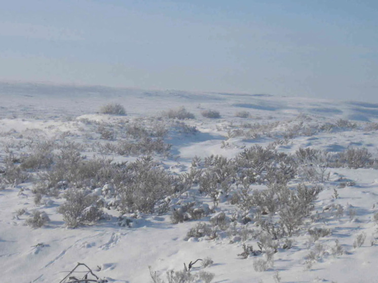 Завтра погода в Калмыкии расскажет о мае