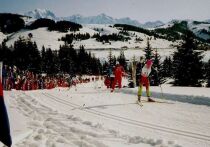 Президент Федерации лыжных гонок России Елена Вяльбе ответила на вопрос, получил ли кто-то из российских лыжников, кроме Дарьи Непряевой и Савелия Коростелева, выступающих в эти дни на многодневке «Тур де Ски», нейтральные статусы