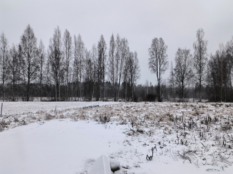 Маленькие шаги для большой планеты: легкие эко-привычки