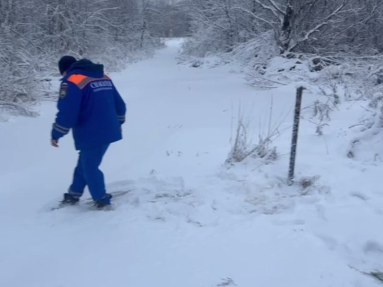 Уровень воды в реке Оять стал снижаться