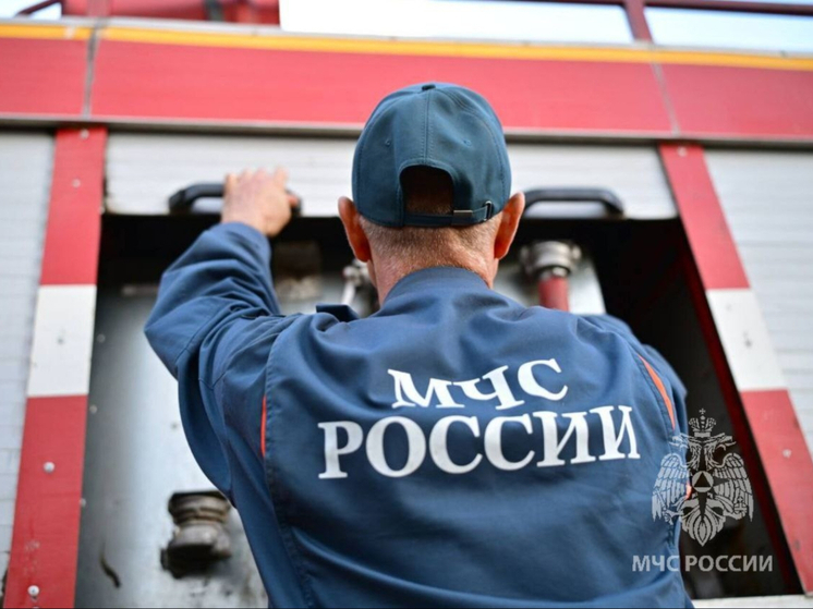 За прошедшую неделю в Ростовской области ликвидировали более 90 возгораний