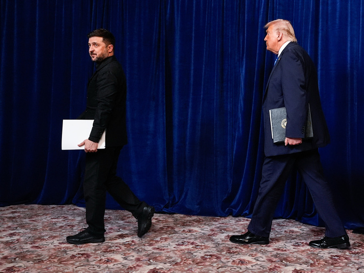 «Признак несогласия с собеседником»: психолог «расшифровал» мимику Зеленского в Мар-а-Лаго