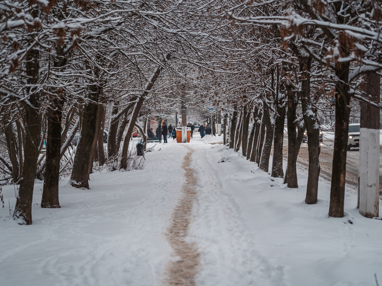 Желтый уровень погодной опасности действует в Тверской области