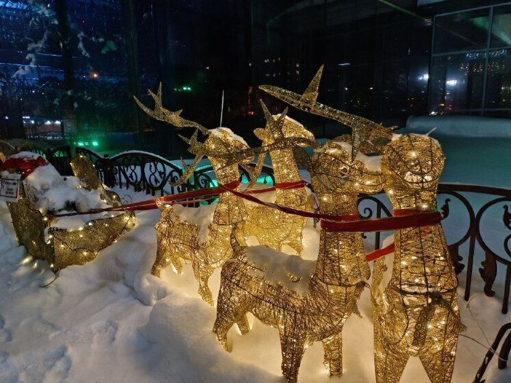 Чем заняться в праздники? В Барнауле создали карту единого новогоднего пространства