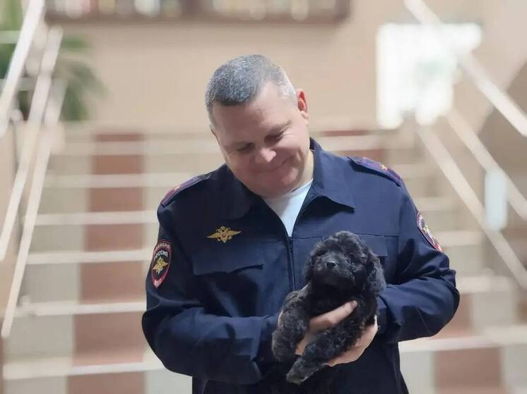 В Абинске семилетней жительнице подарили живого щенка вместо игрушки