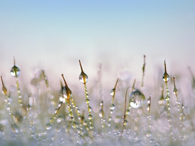 Хабаровск замерзает: температура опустится до −21 °C