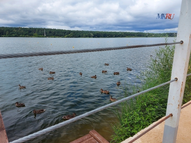 В Калужской области более 100 раз нарушили водное законодательство за год