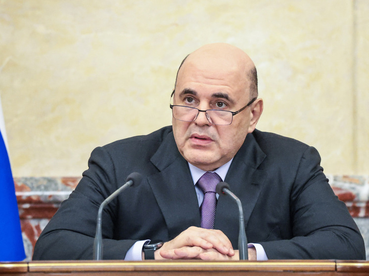 Мишустин назначил временного полпреда правительства в высших судах