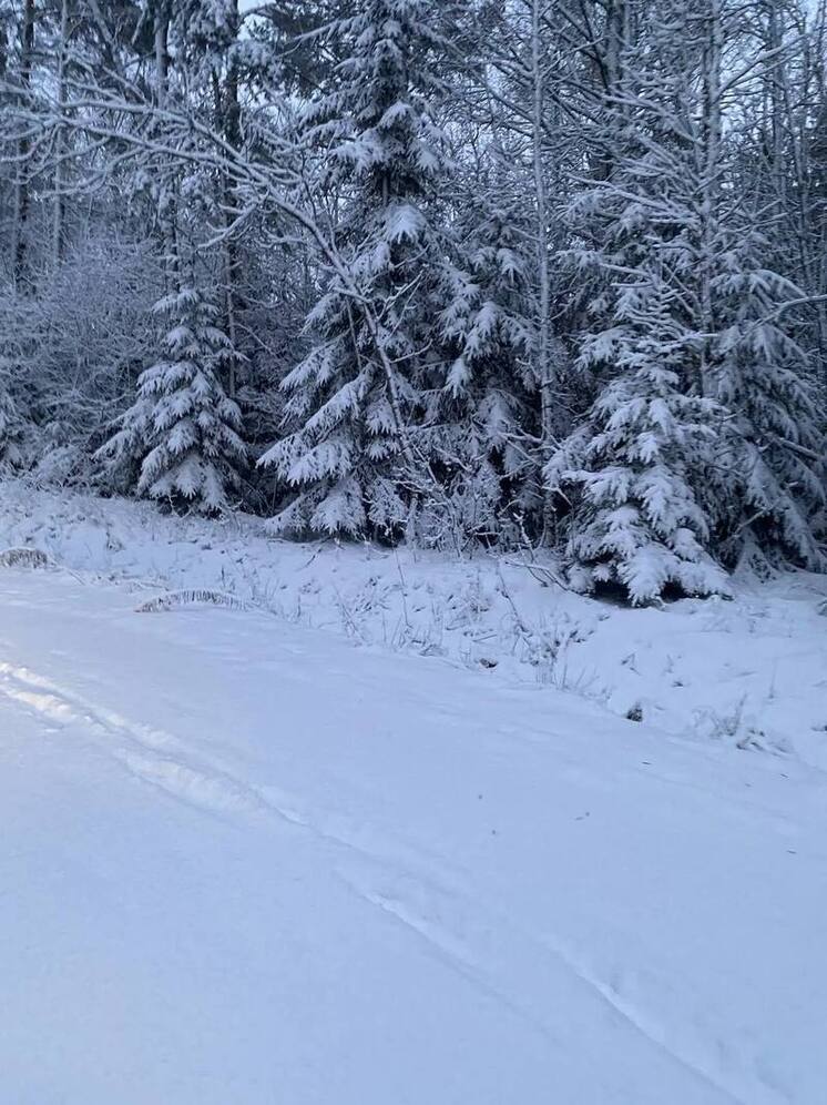 В Великих Луках открылась лыжная трасса на базе Центра подготовки велосипедистов