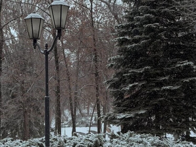 Небольшой снег и слабая метель дадут о себе знать в Самарской области 30 декабря