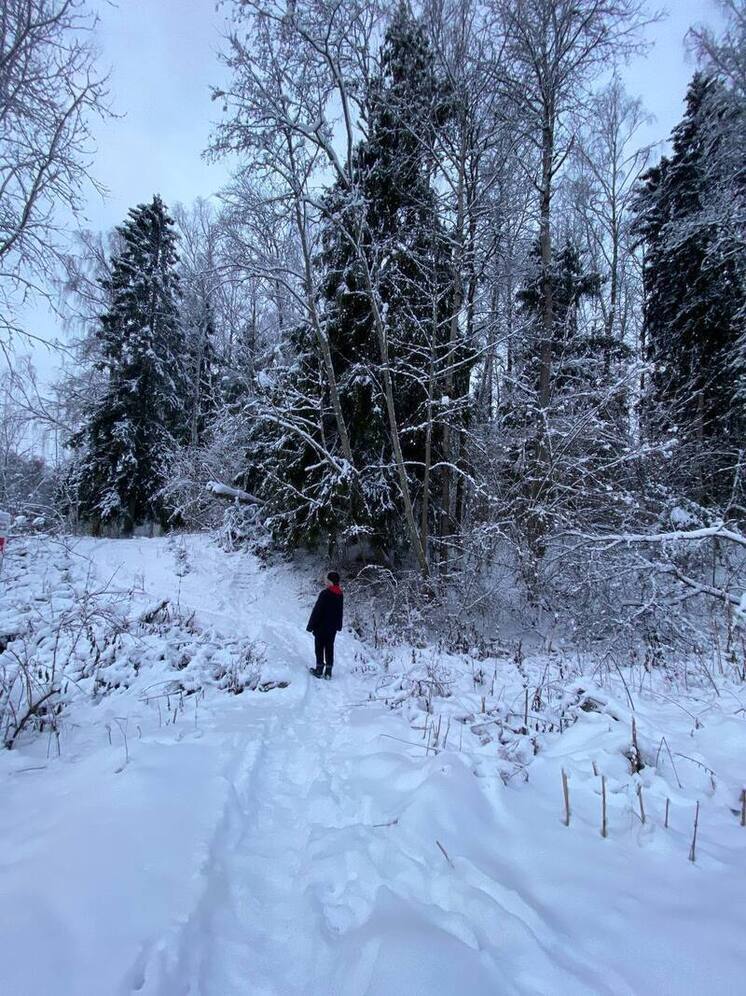 ИКИ РАН:В последние дни года в европейской части РФ будет приятная зимняя погода