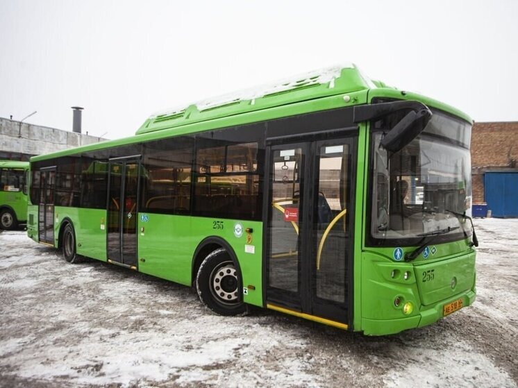 В Псковской области на новогодних каникулах изменится расписание автобусов