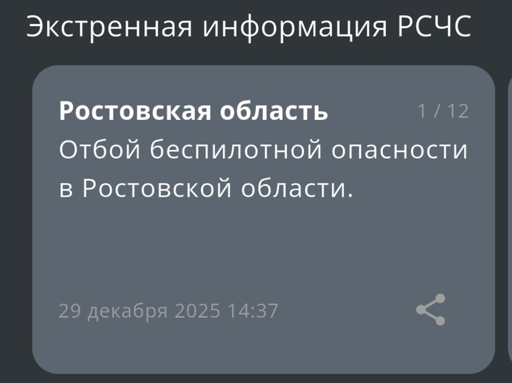 В Ростовской области днем 29 декабря сняли режим беспилотной опасности