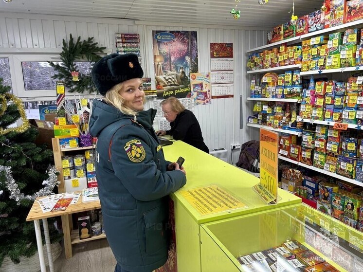 МЧС проверило все точки продажи фейерверков в Архангельской области