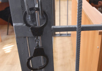 Житель Мытищ, который хотел продать машину отца, застрелил потенциального покупателя из арбалета и добил молотком, чтобы украсть 2 млн рублей