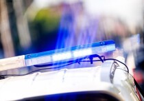 В воскресенье полиция южноамериканского Суринама сообщила, что в результате нападения с применением холодного оружия недалеко от столицы страны Парамарибо погибли по меньшей мере 9 человек, в том числе 5 детей