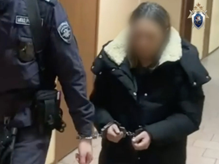 Суд в Подмосковье арестовал обвиняемую в убийстве трех человек женщину