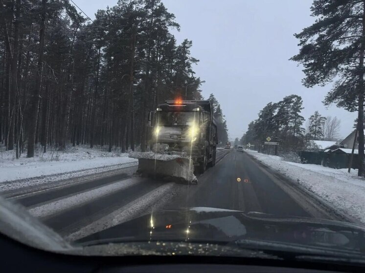 Снежный покров вырастет на 12 сантиметров в Ленобласти