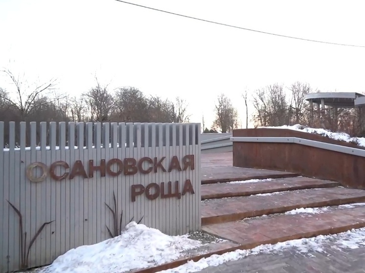 Вологжанам предлагают начать 2026 год с пробежки