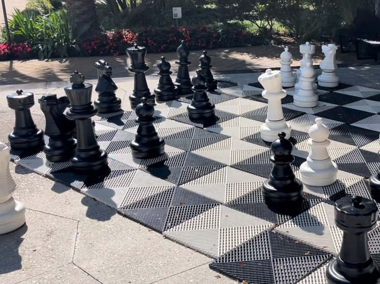 Орская шахматистка Александра Горячкина стала чемпионкой мира по рапиду