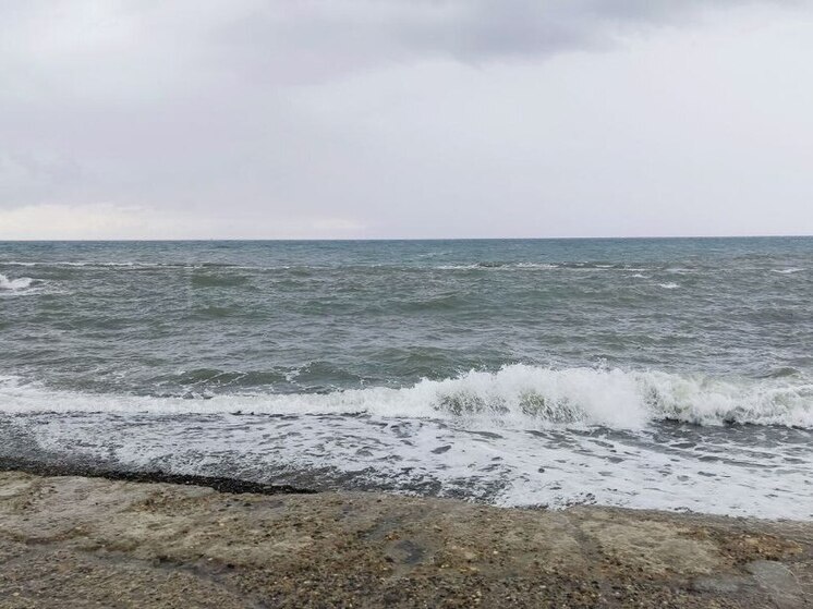 МЧС снова предупреждает об опасном ветре в Калининграде