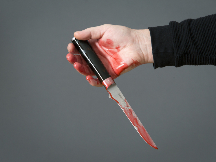 В Туве следствие возбудило дело о халатности из-за убийства на школьной елке