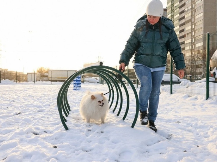 Самая большая площадка для выгула собак открылась в Екатеринбурге