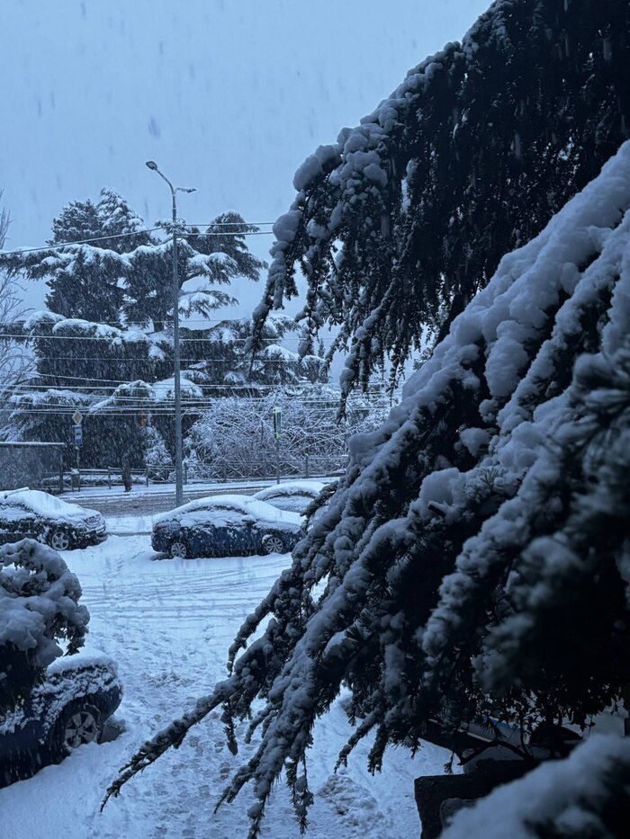 Сильный снегопад в Крыму привел к транспортному коллапсу и перебоям с электричеством