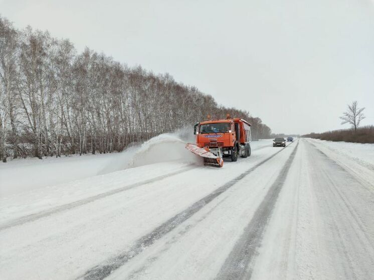 Во время сильных снегопадов в Башкирии на дороги выведут 1200 спецмашин