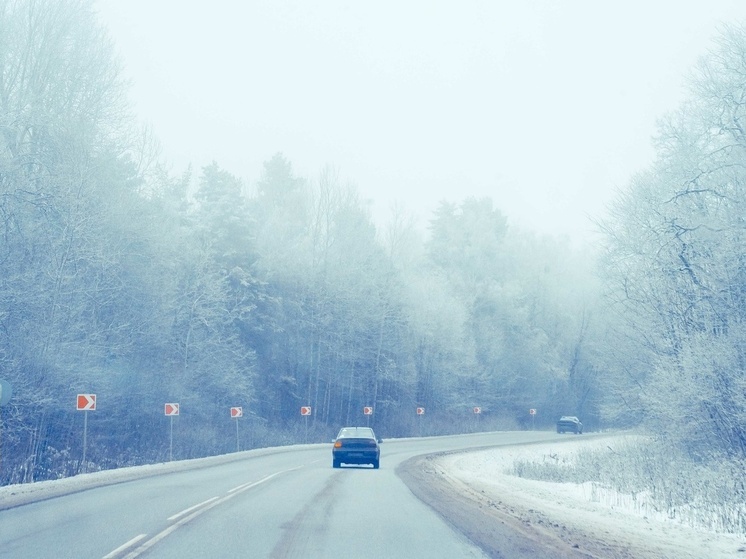 В Минирансе рассказали тулякам, что нужно брать с собой в дорогу зимой