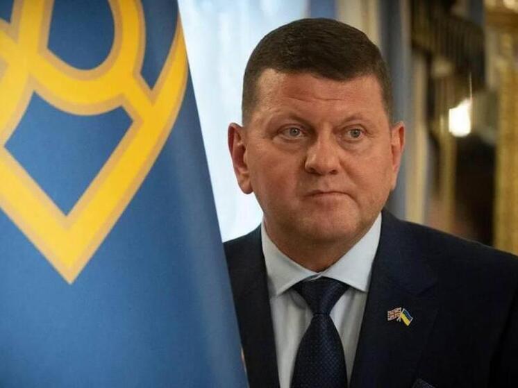 Слухи о подготовке к выборам приобрели новые краски из-за новости о том, что Залужный планируется в начале января вернуться на Украину