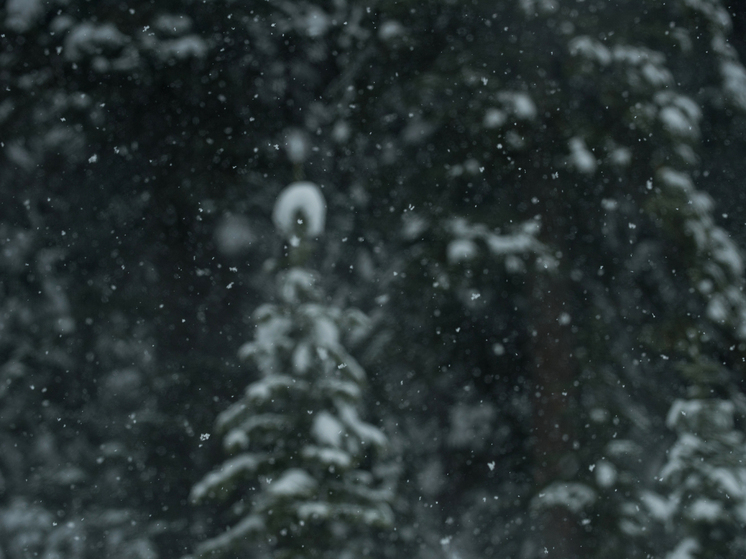 30 декабря в Брянской области ожидается снег