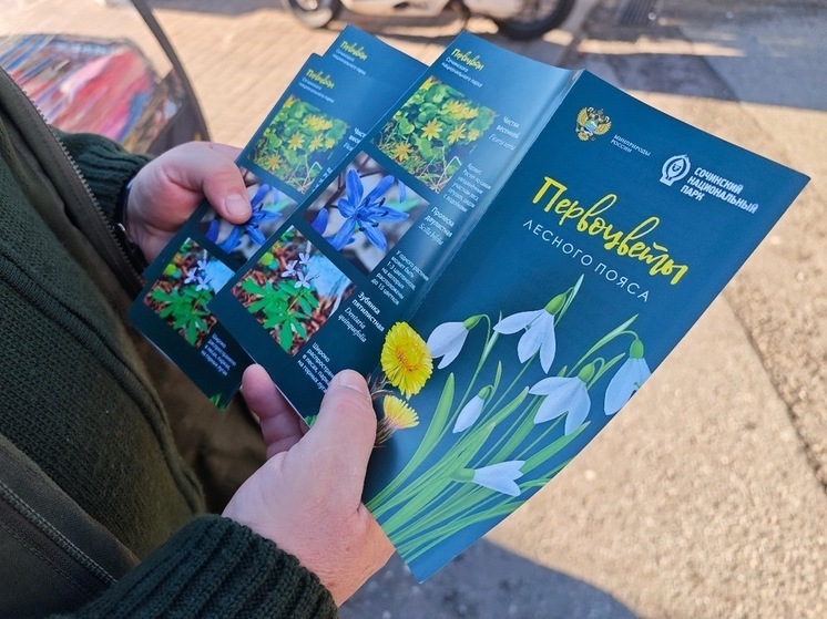 В Сочи состоялся рейд по пресечению нелегальной торговли краснокнижными первоцветами