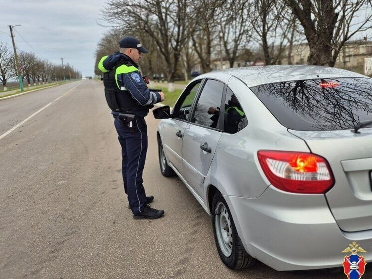 В Чаплынском округе выявили трех водителей без прав