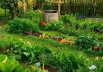 Планирование садово-огородных работ в соответствии с лунными циклами — это давняя традиция, помогающая многим дачникам действовать в гармонии с природными ритмами