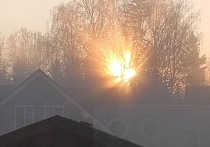 Холодная погода — не повод отказываться от прогулок