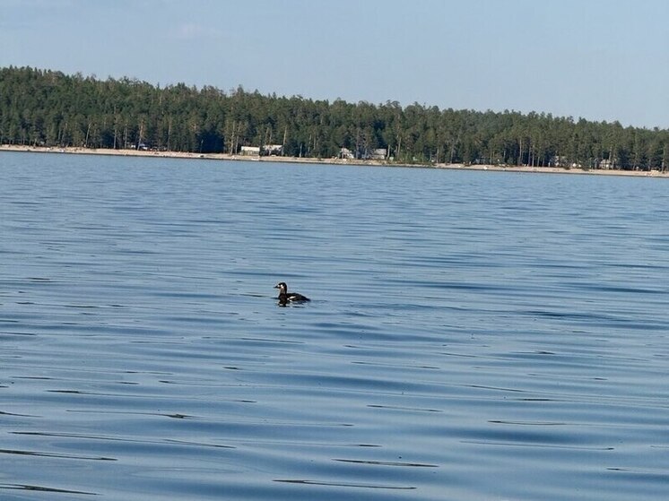 О жемчужине Забайкалья рассказали на телеканале «Вместе-РФ»