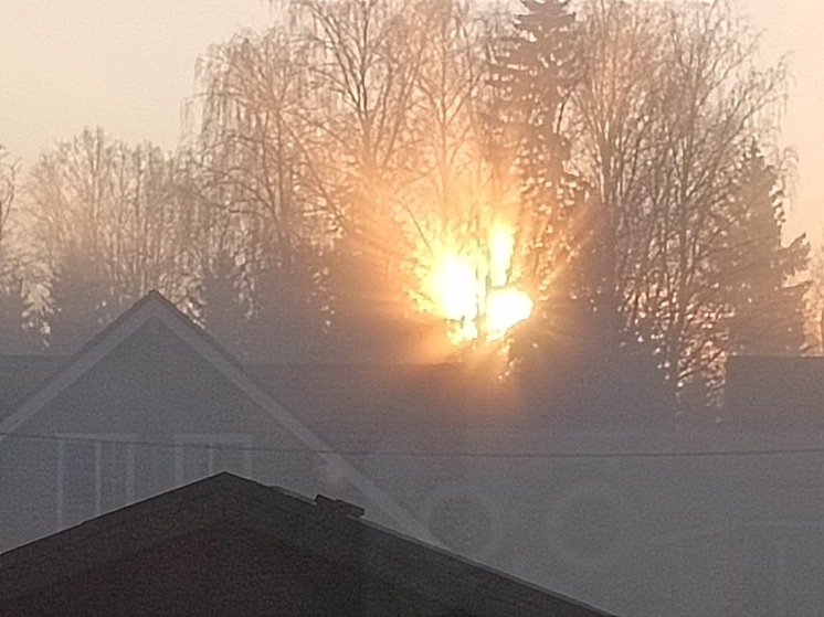 Мороз не повод отказываться от прогулки: специалисты дали совет, как уберечься от обморожения