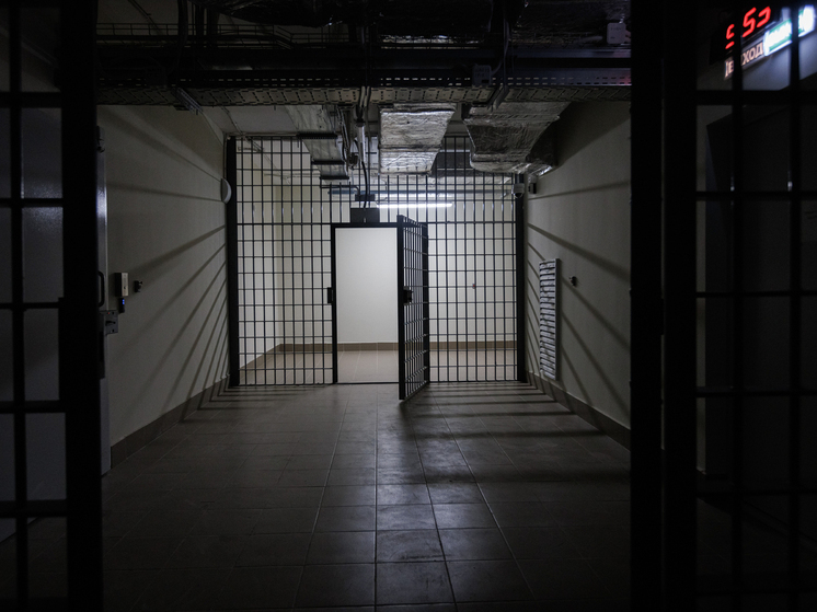 Прокуратура утвердила обвинительное заключение по делу Эйдельман*