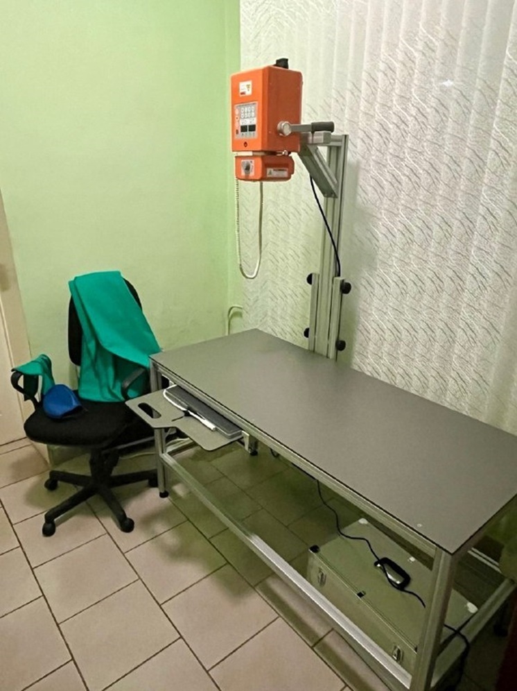 Новый рентген-аппарат повысит качество ветеринарной помощи в Великих Луках